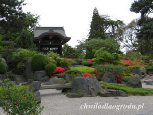 ogród w stylu japońskim